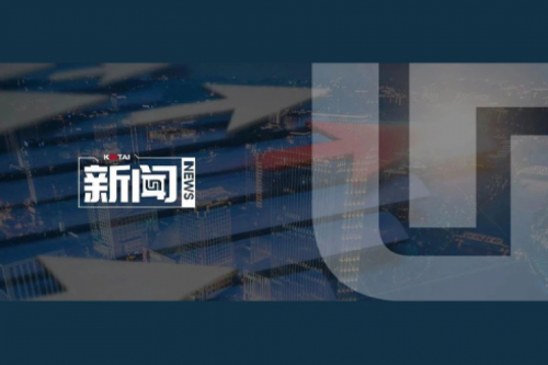 3003.com新葡的京数码2024年度业绩说明会亮点一览：营收创5年新高，AI谋篇布局开新章
